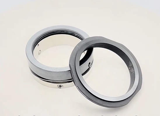 Wave Spring Mechanical Seal Suit for Hilge Pumps Replacement AES W04 1688Y