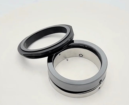 Wave Spring Mechanical Seal Suit for Hilge Pumps Replacement AES W04 1688Y