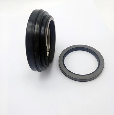 GW85-130-20 AXIAL SEAL and MATTER IN85 85-130-20mm CAR/SIC/EPDM
