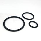 ISO9001 Mechanical Seals Parts FKM 75 Shore Rubber O Rings