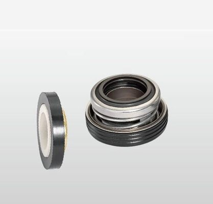 FTK2 Ebara Pump Seals