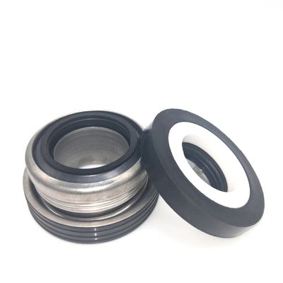 FTK2 Ebara Pump Seals