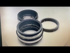 Fristam Seal GLRD FDS2 BCH-045 SIC-SIC-HNBR/C-TC-HNBR For Fristam Fds Double Screw Pump