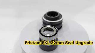 See Why Choose SIC SIC FKM  Mechanical Seal 22MM Suitable For Fristam FKL Pump