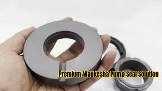 A Closer Look: Mechanical Seal Dual Face AES W13U SiC/SiC, FKM For Waukesha Pump