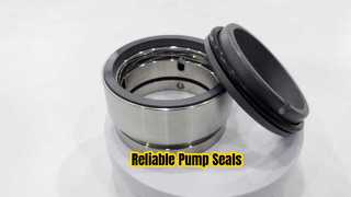 A Closer Look: Wave Spring Seals Burgmann Mechanical Seal HJ977GN